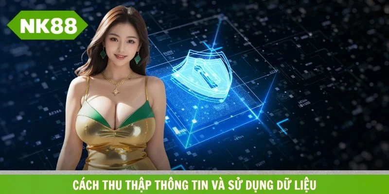 Tìm hiểu cách thu thập thông tin và sử dụng dữ liệu hội viên